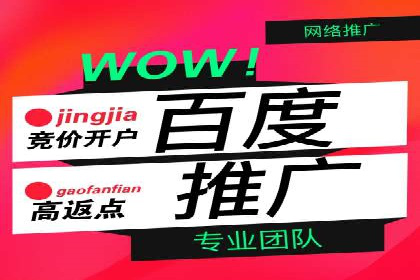 百度搜索推广实战技巧：成功案例背后的优化策略